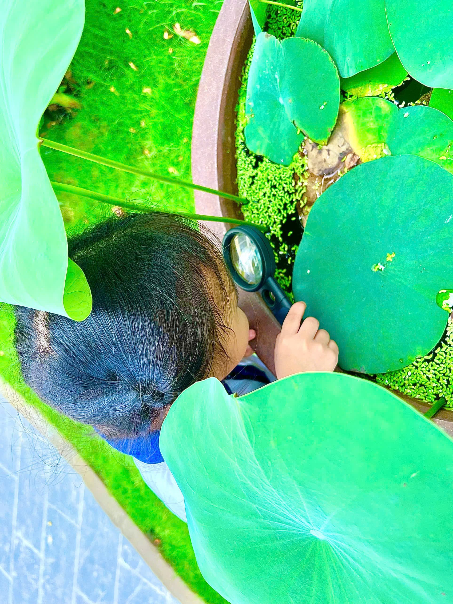 Không gian cơ sở vật chất