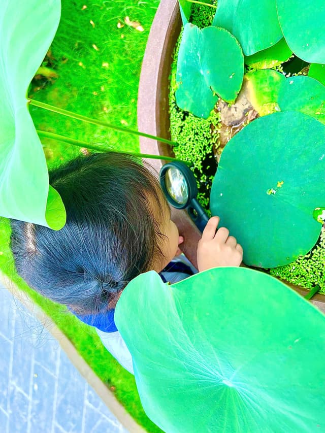 Hoạt động của bé