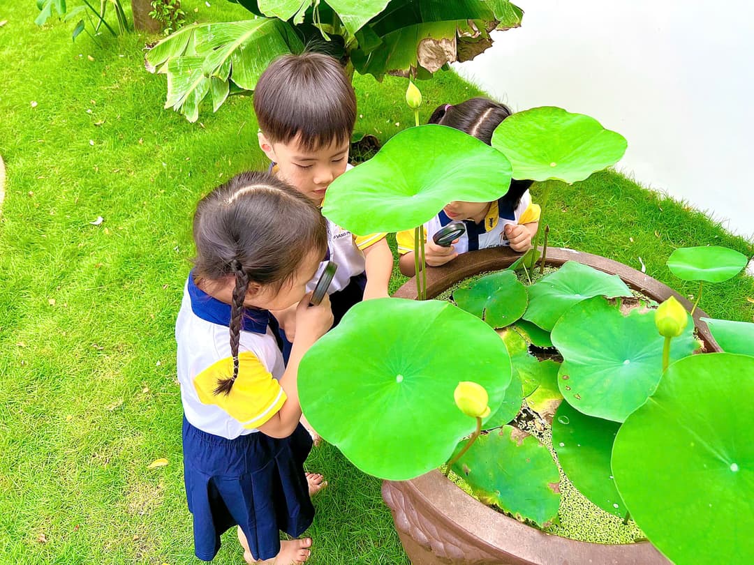 Những phúc lợi khác